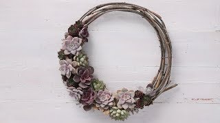 How to Make a Succulent Wreath | Sunset