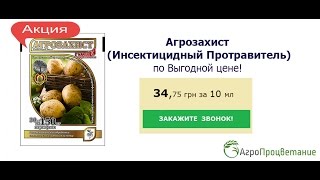 Защита Капусты, Кукурузы, Свеклы, Помидоров, Перца(Защита Капусты, Кукурузы, Свеклы, Помидоров, Перца https://agrozahyst.com.ua/agrozakhist-insektitsidnyj-protravitel Решив Купить Инсекти..., 2016-05-17T11:43:10.000Z)