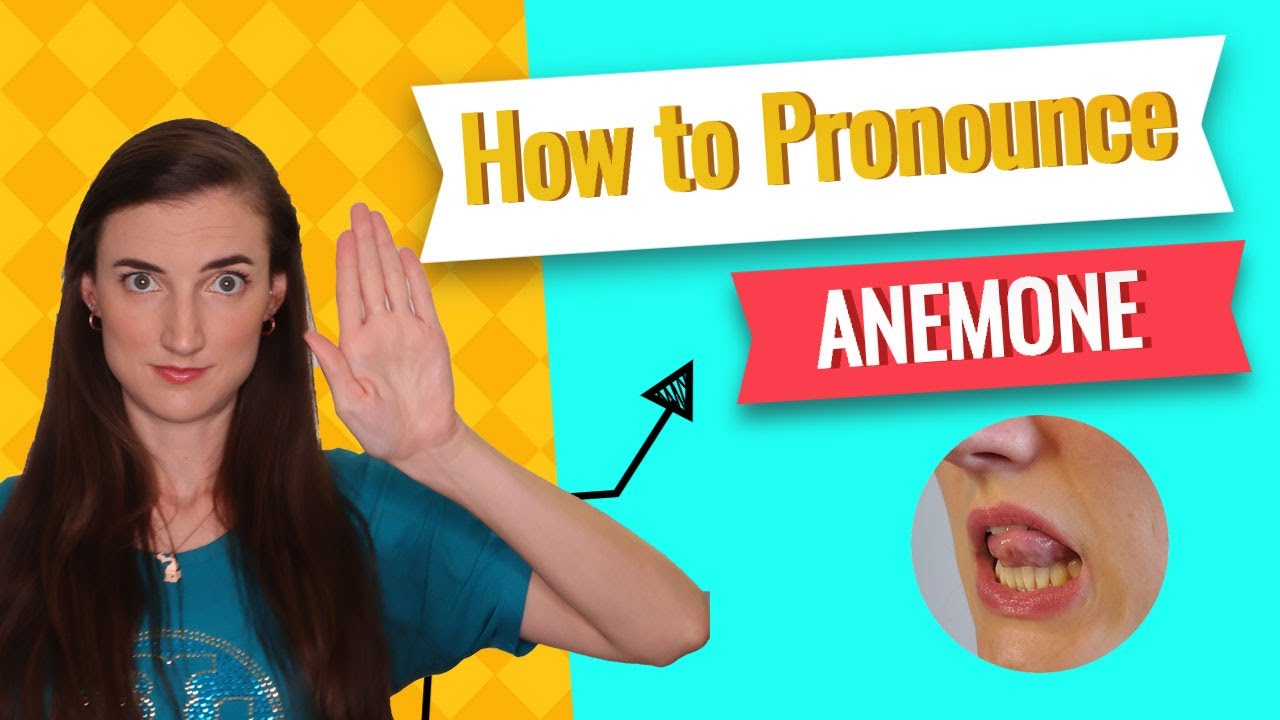 How to pronounce Anemone, American English Pronunciation