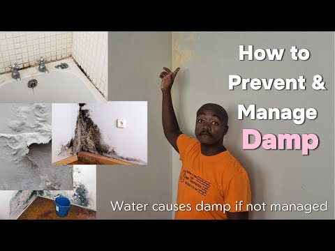 Damp in Homes Explained | Causes, Examples & How to Prevent It | Rising damp