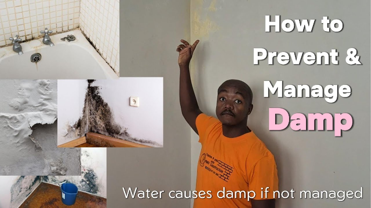 Влага в домах: объяснение | Причины, примеры и способы предотвращения | Подъем влаги