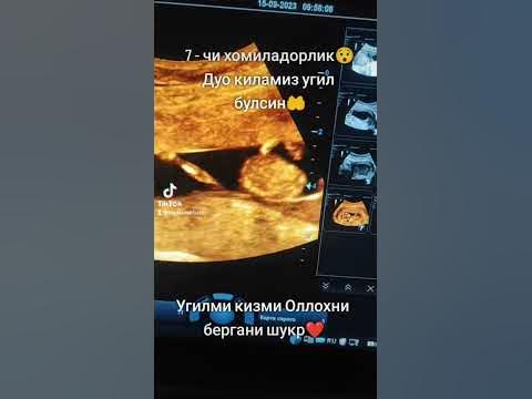 #беременность - YouTube