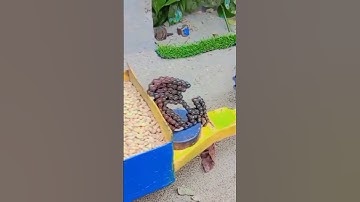 diy mini tractor trolley loading new technology | science project |