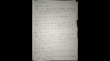 Nios Class 10 Data Entry Important Questions With Answers #nios #exam #education #sh