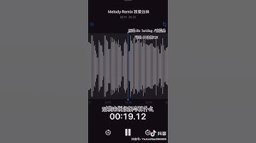 Thumbnail of Melody Remix 我爱台妹 By.YeJianNan