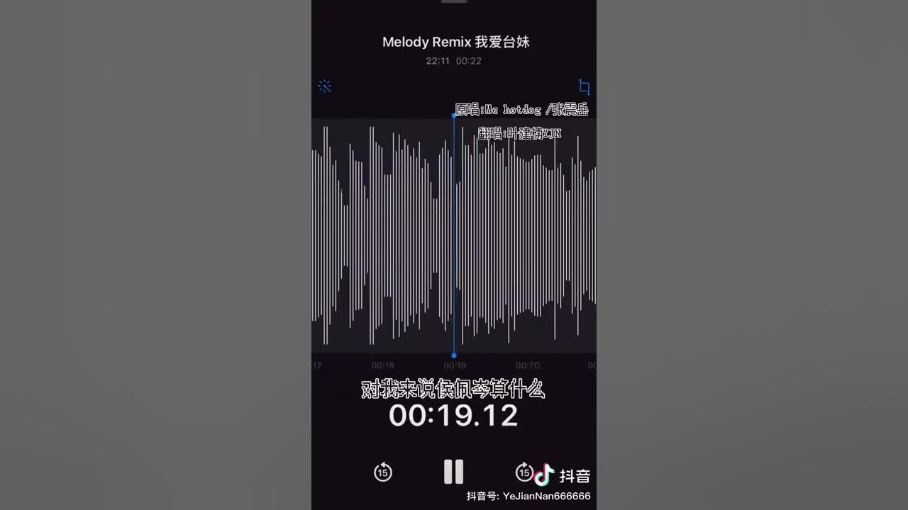 Melody Remix 我爱台妹 By.YeJianNan