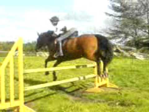 Sarah Dailey jumping by Laragh Harvey kelly.3gp