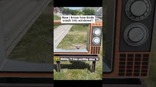 Birds And Windows 😭🕊 | #original #gta