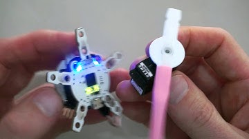 Default program in the Quirkbot