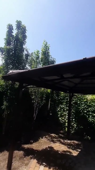Беседка в Ростове-на-Дону. Беседки Ростова. Ростов навесы. Навесы в ...