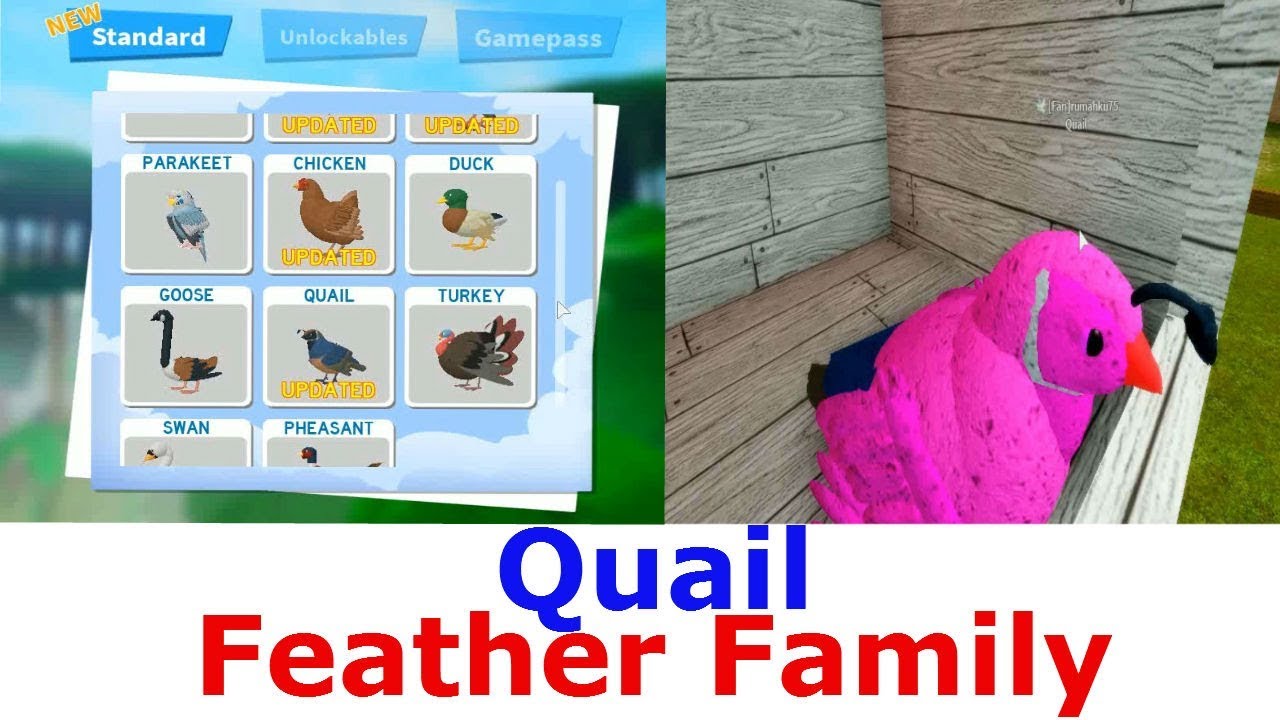 Feather Family Roblox Turkey Models Autumn Themed Decorations In Village Youtube - feather family roblox pelagornis