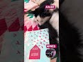 Roman Québecois + Vie de chat