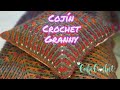 Cómo tejer a crochet COJÍN con base de GRANNY (modernizado...)