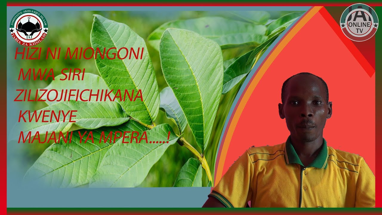 HIZI NI MIONGONI MWA SIRI ZILIZOJIFICHIKANA KWENYE MAJANI YA MPERA.....!