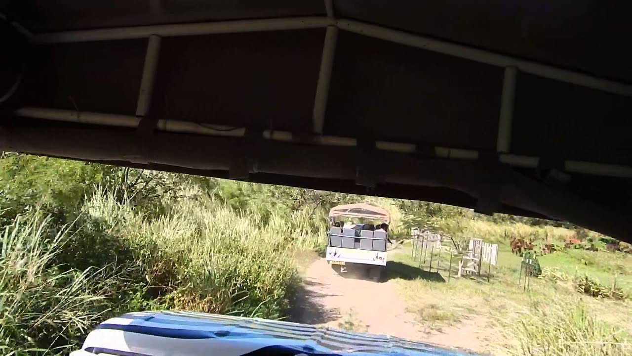 Saint Kitts 4x4 safari YouTube