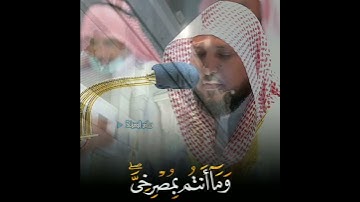"فلا تلوموني" #ماهر_المعيقلي #سورة_إبراهيم #روائع_المعيقلي