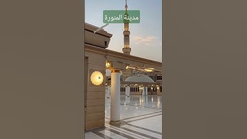 القرن الكريم ( سورة الفتح) محمد رسول الله والذين معه اشداء ...#hafiz_imran #ahmad #rashadi #اكسبلور