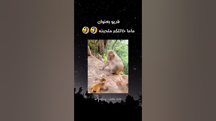 مقطع مضحك جدا تحشيش عراقي|| 😂🤣|| مقاطع مضحكة جدا || ستوريات مضحكة || حالات واتساب مضحكة ||فيديو مضحك