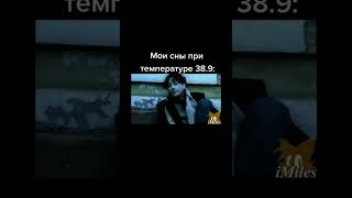 мем #1 мои сны с температурой 39