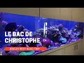 Le bac de christophe  un incontournable aquarium rcifal de 2500 litres 