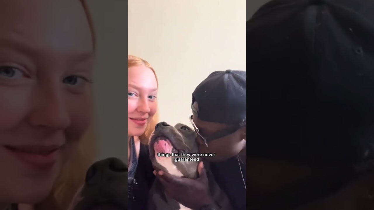 For every animal saved, countless others are still suffering