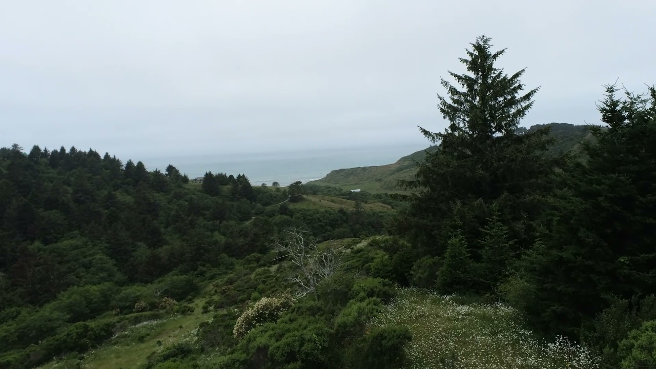 7134 Centerville Rd, Ferndale. Over 118 Acres