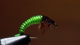 JC's Electric Caddis Larva