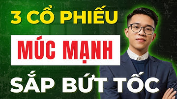 Đừng Bỏ Lỡ 3 Cổ Phiếu Sắp Bùng Nổ Mạnh!