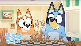 체스를 두자! ♟️ 💙 | 블루이 시리즈 3 - 가슴 | 블루이 - 한국 공식 채널 - Bluey 🇰🇷