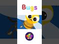 Kids vocabulary - Bugs - Learn English for kids - English educational video #shorts