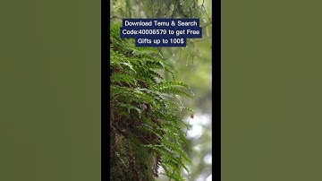 Thumbnail of Join Temu to get free items
