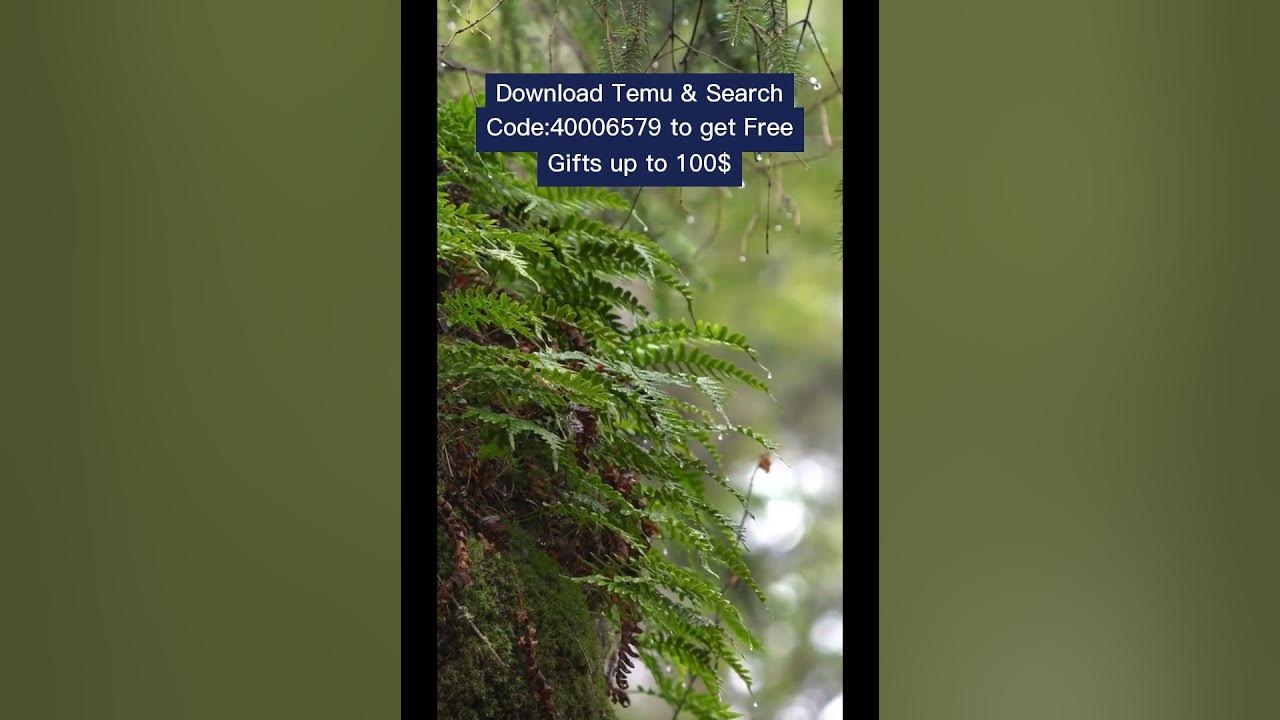 Join Temu to get free items
