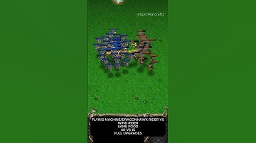 Flying Machine/Dragonhawk Rider vs Wind Rider (Same Food) (Full Upgrades)