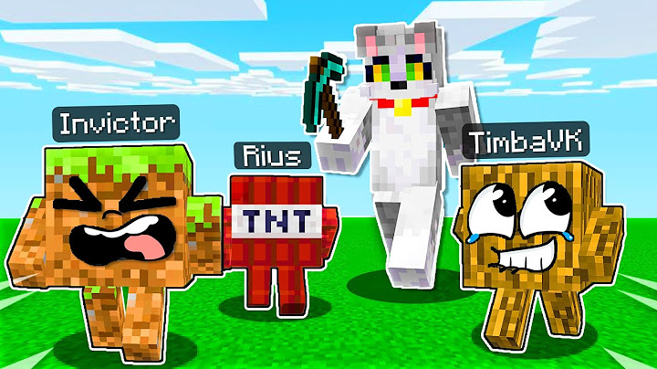 ¡NOS ESCONDEMOS en BLOQUES de MINECRAFT! 😂🤣 EL ESCONDITE en MINECRAFT con INVICTOR y TIMBA VK