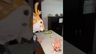 Venado Perdió A Mi Mascota