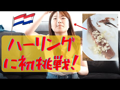 【NL】#17 オランダ人に習う正しいハーリングの食べ方｜Learned how to eat Haring properly from Dutch people!