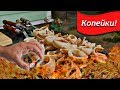 Шашлык из Кальмаров На Углях. Кальмар На Шампурах. Копейки!