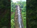 Araku Valley #india #araku #arakuvalley #andhrapradesh #southindia