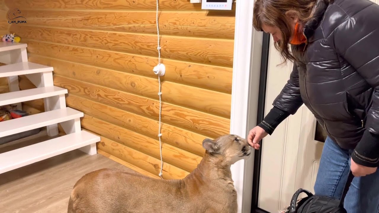 Встреча Месси с Яной 