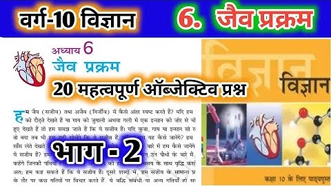 कक्षा 10 विज्ञान अध्याय 6 जैव प्रक्रम ऑब्जेक्टिव प्रश्न || Class 10 science life processes objective