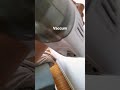 bug