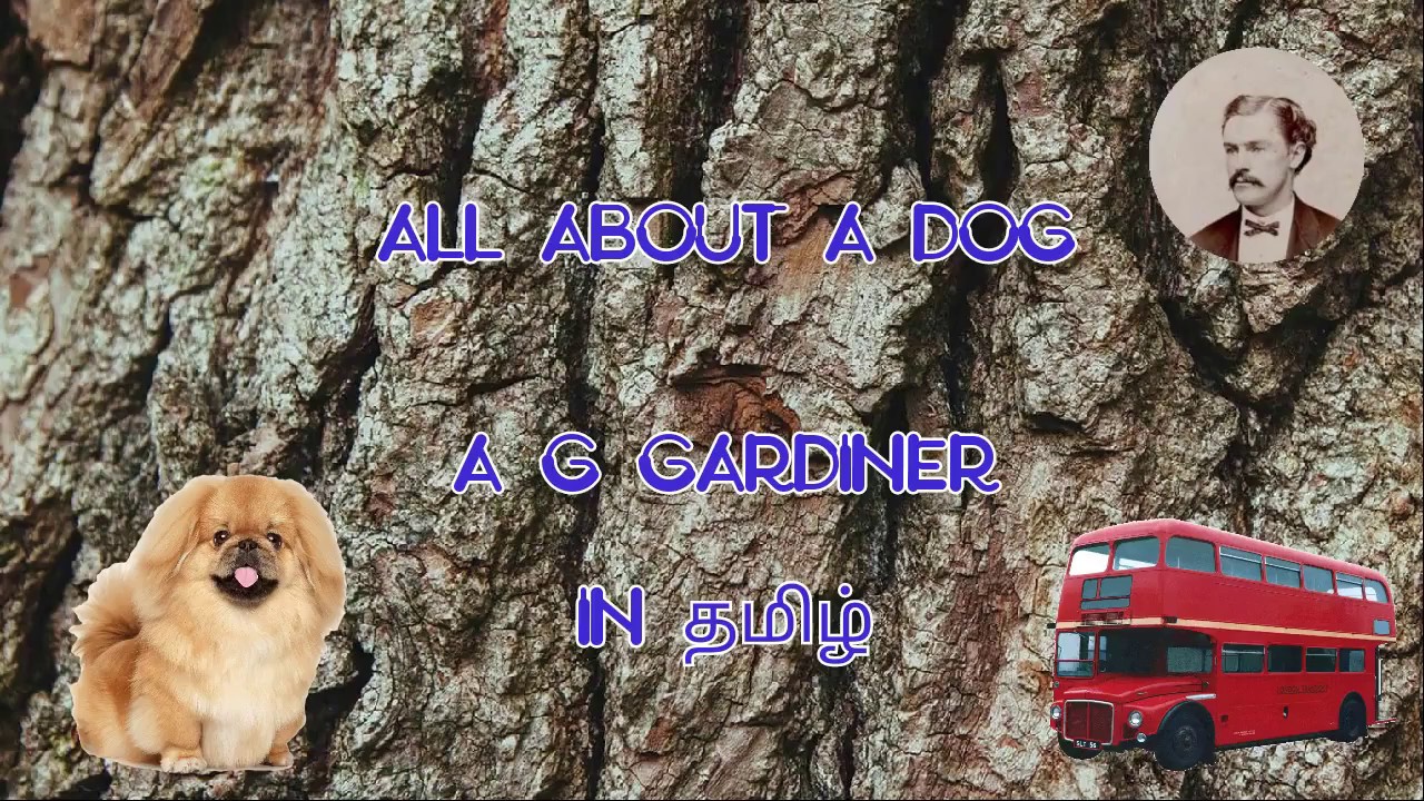 all about a dog | a g gardiner | tamil