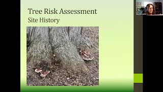 Tree Risk Assessment Webinar with Kay Sicheneder screenshot 2