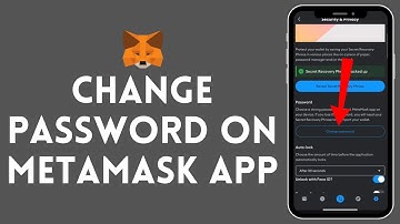How to Change Password on MetaMask 2024
