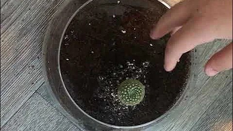 How to