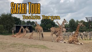 Safari Park Tour (Beekse Bergen Netherland)