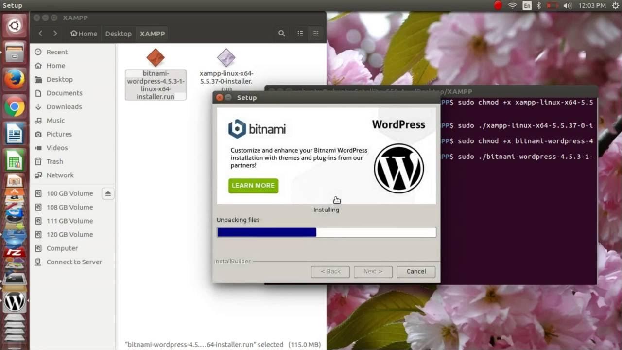 Установка wordpress на ubuntu. Установка wordpress на ubuntu