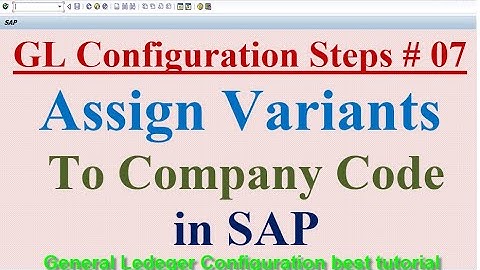 GL Configuration Steps #07 Assign Variants to Company Code in SAP