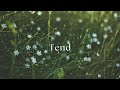 Tend Hillside Recording Diana Trout Cover mp3