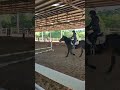 Shorts lessons equestrian horse riding aj  plf equestrian subscribe  